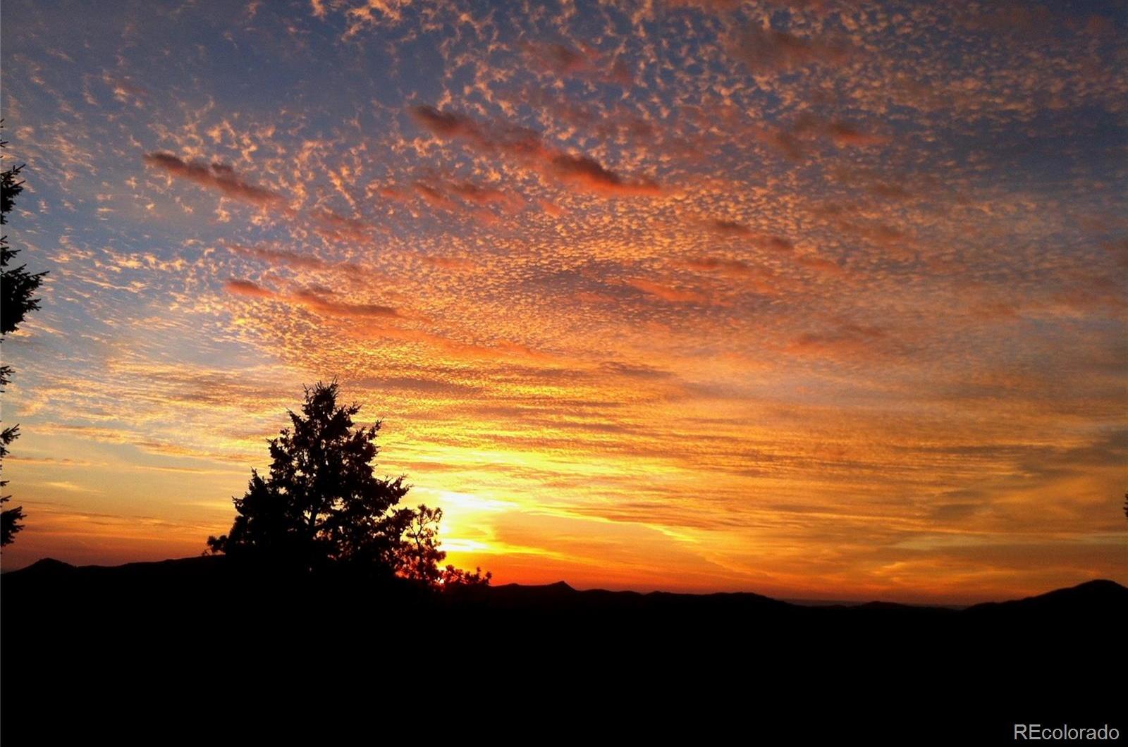 Photo #50