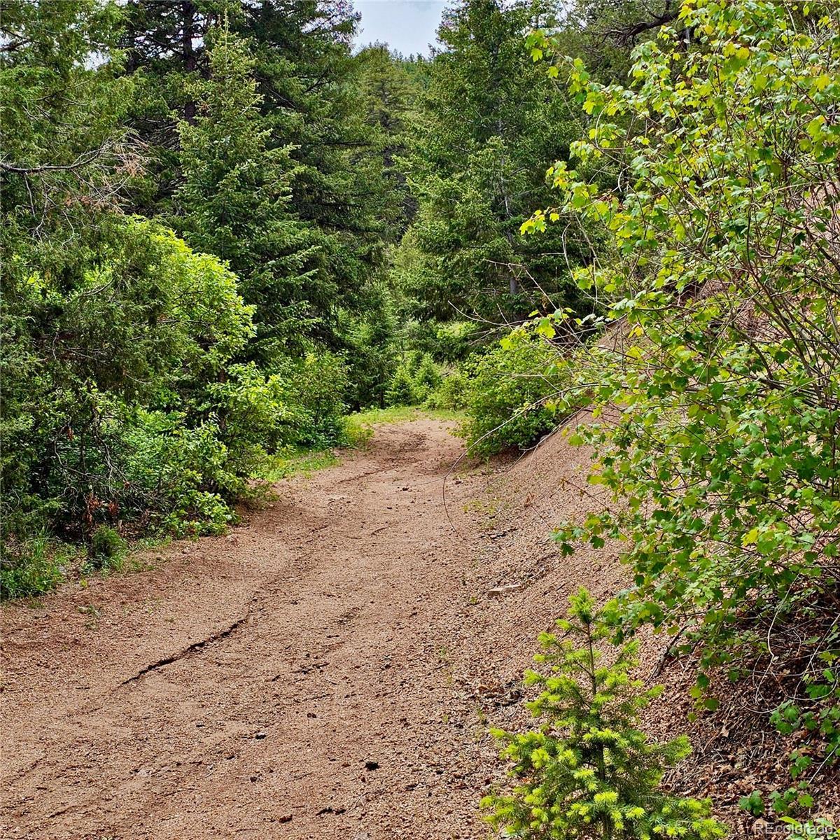 Photo #41