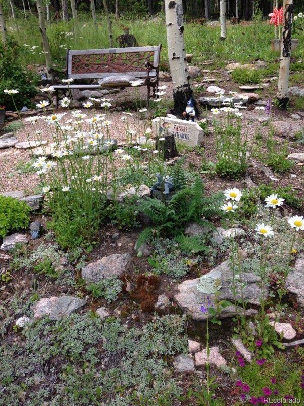 Photo #41