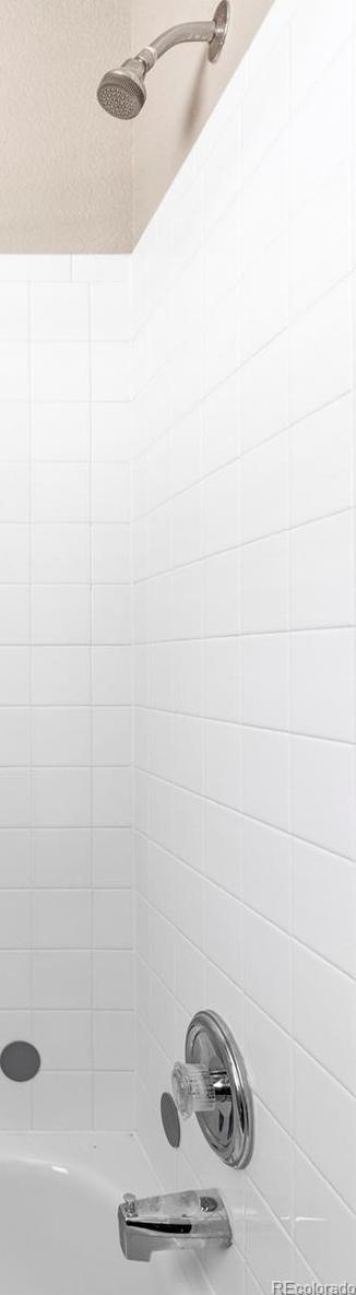 Photo #15
