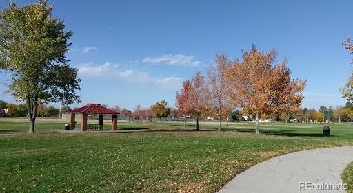 Photo #46