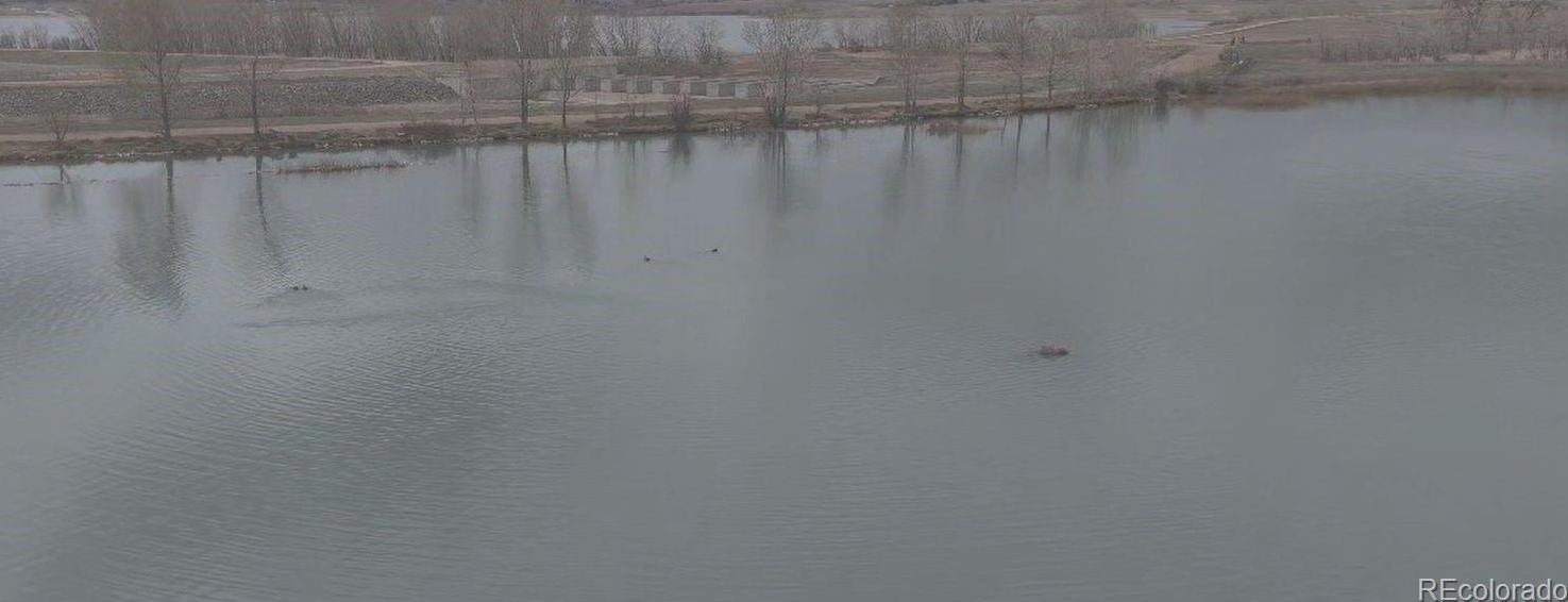 Photo #28