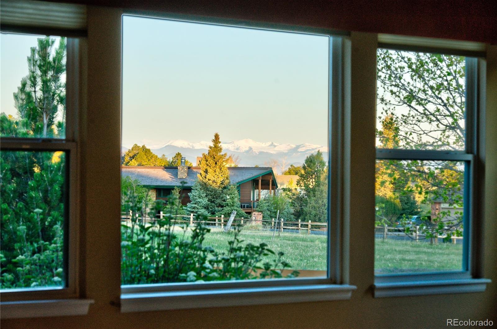 Photo #13