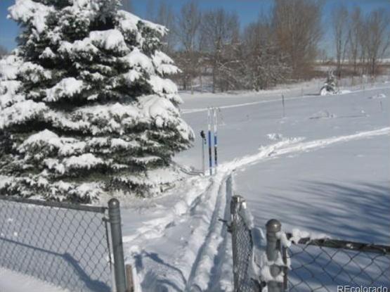 Photo #41