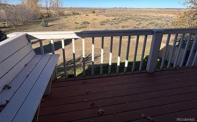 Photo #42