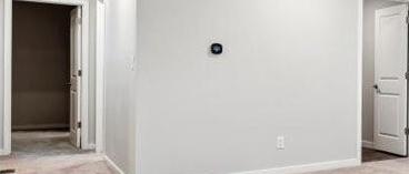 Photo #11