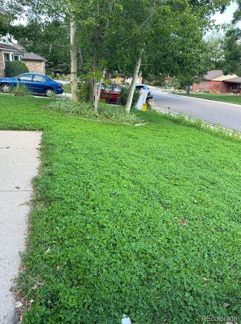Photo #32