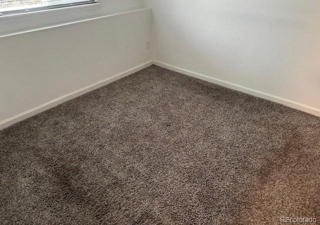 Photo #15