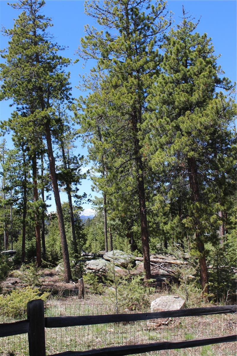 Photo #15