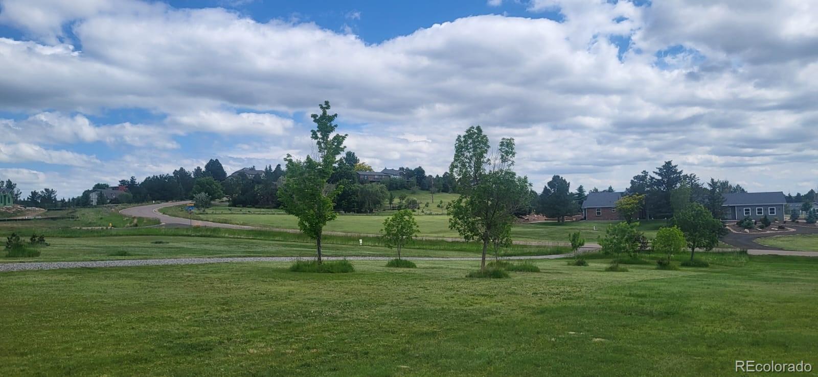 Photo #35