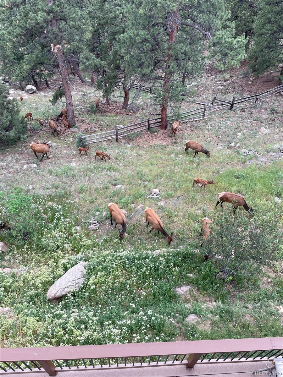 Photo #45
