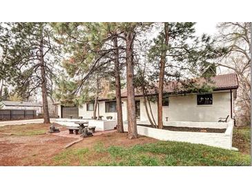 Sprawling ranch style home with a brick patio, mature pine trees, and an attached two car garage at 561 Saulsbury St, Lakewood, CO 80226