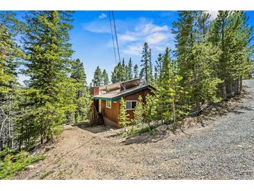 Quaint mountain cabin nestled amongst mature pine trees with solar panels on the roof at 542 Harris Dr, Idaho Springs, CO 80452