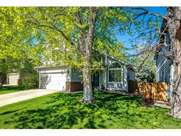 Charming home with a well-maintained lawn and mature tree providing shade at 11335 Haswell Dr, Parker, CO 80134