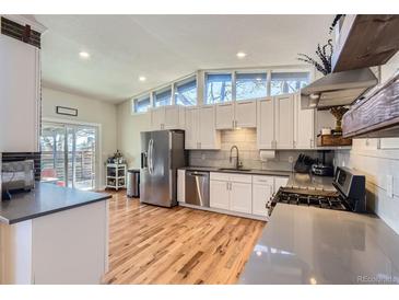 Bright kitchen featuring stainless steel appliances, ample counter space, and modern white cabinets at 345 S Forest St, Denver, CO 80246