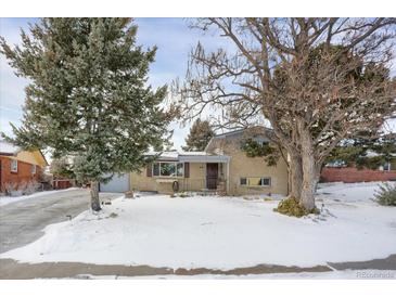 Ranch style home with a snow covered yard and mature trees at 9581 Green Ct, Westminster, CO 80031