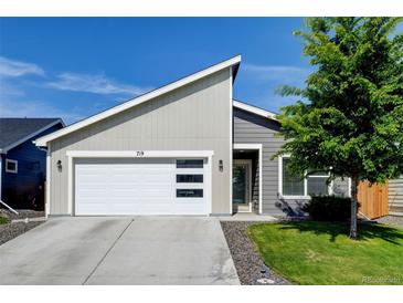 Charming home featuring a modern garage door, gray siding, green lawn, and a beautifully landscaped yard at 719 S Hoover Ave, Fort Lupton, CO 80621