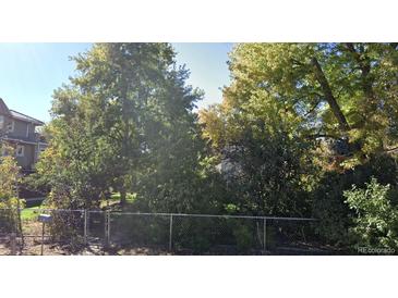 Lush front yard with mature trees, a chain link fence, and a glimpse of the home's architectural details at 785 Jasmine St, Denver, CO 80220