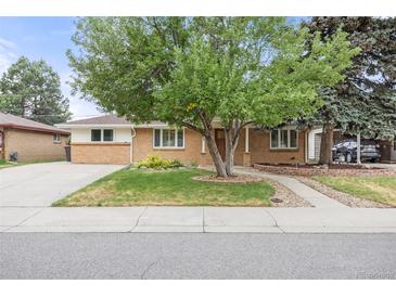 Charming brick home featuring a spacious front yard with mature tree at 4629 Estes St, Wheat Ridge, CO 80033