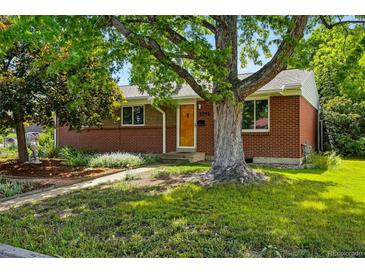 Charming brick home with mature trees and a well-manicured lawn, creating a welcoming curb appeal at 1395 S Kendall St, Lakewood, CO 80232