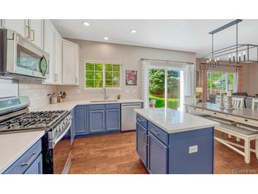 Bright kitchen featuring stainless steel appliances, island, quartz countertops, and backyard access at 21238 Snowshoe Ln, Parker, CO 80138