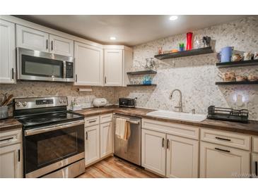 Close-up of renovated kitchen boasting stainless steel appliances and stylish backsplash at 1842 Canyon Blvd # 105, Boulder, CO 80302