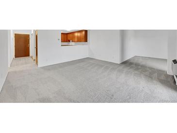 Open-concept living area featuring neutral paint, and soft, neutral carpeting with a pass-through window into the kitchen at 3022 S Wheeling Way # 205, Aurora, CO 80014
