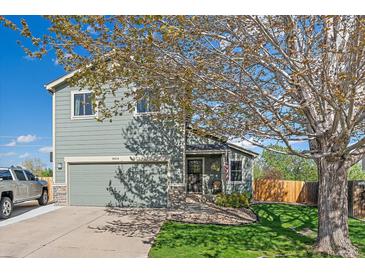 Charming two-story home with a well-maintained lawn, two car garage, and a welcoming front entrance at 8414 Coralberry Ct, Parker, CO 80134