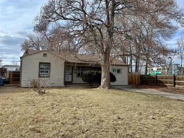 Charming single-story home featuring a well-maintained front yard and mature trees at 945 Zenobia St, Denver, CO 80204