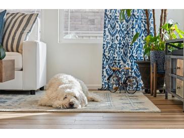 Bright living room with a white dog resting on a stylish blue rug and decor at 17214 W 94Th Ave, Arvada, CO 80007