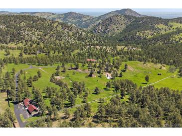 Expansive aerial view of lush acreage, nestled among green trees and rolling hills at 3800 Lakota Rd, Indian Hills, CO 80454