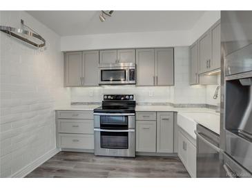 Modern kitchen featuring stainless steel appliances and gray cabinetry at 460 S Marion Pkwy # 706, Denver, CO 80209