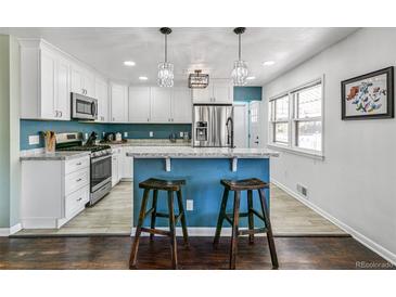 Modern kitchen with stainless steel appliances and breakfast bar at 172 S Lowell Blvd, Denver, CO 80219