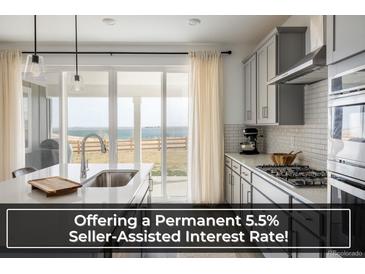 Modern kitchen features stainless steel appliances, gray cabinets, and a view of the community lake at 16568 W 92Nd Pl, Arvada, CO 80007