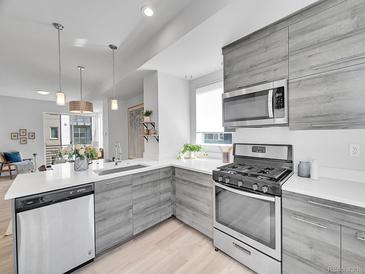 Modern kitchen features sleek gray cabinetry, stainless steel appliances, and ample counter space at 1007 Chase St, Lakewood, CO 80214