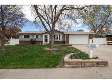 Charming home featuring a well-maintained lawn, mature trees, and a welcoming entrance at 7472 Jay Ct, Arvada, CO 80003