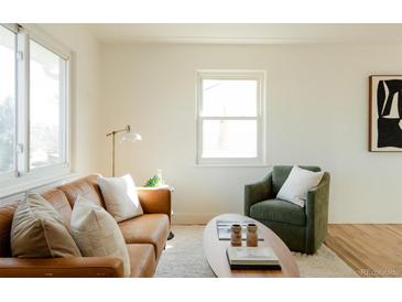 Bright living room features a soft rug, modern furniture, and natural light from windows at 133 S Xavier St, Denver, CO 80219