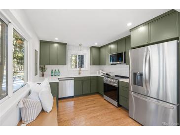 Modern kitchen boasts stainless steel appliances and olive green cabinets at 448 Brook Rd, Evergreen, CO 80439