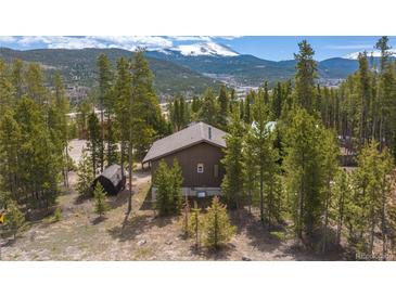 Charming mountain home surrounded by lush green trees with beautiful mountain views at 24 Ski Pole Ct, Breckenridge, CO 80424