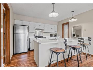 Bright kitchen features stainless steel appliances, ample countertop space, and a breakfast bar with stool seating at 24 Ski Pole Ct, Breckenridge, CO 80424