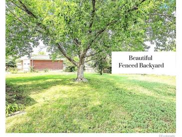 A beautifully landscaped backyard featuring mature trees and ample green space for outdoor activities at 8030 Ogden St, Denver, CO 80229