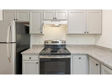 Well-lit kitchen featuring updated appliances, gray cabinets and speckled countertops at 2880 S Locust St # 109S, Denver, CO 80222