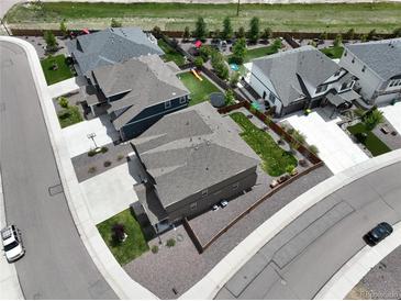 An aerial view of several homes showcasing backyard spaces and neighborhood layout in a residential area at 1624 Pinion Wing Cir, Castle Rock, CO 80108