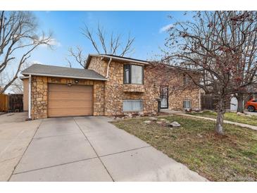Charming stone facade home with a paved driveway and manicured front yard, perfect for curb appeal at 1390 S Ammons St, Lakewood, CO 80232
