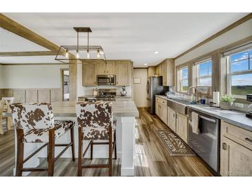 Bright kitchen with island, stainless steel appliances, light wood cabinets, and cow-print bar stools at 4255 S County Road 185, Byers, CO 80103