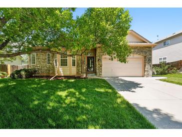 Charming stone-accented home with a well-manicured lawn and mature shade tree at 517 Rider Ridge Dr, Longmont, CO 80504