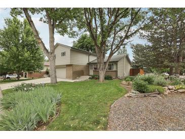 Landscaped front yard with mature trees, green lawn, and beautiful flowerbeds leading to a charming light green home at 6514 Zinnia St, Arvada, CO 80004