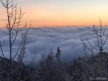 Picturesque sunset view over the clouds, framed by trees at 1758 Sinton Rd, Evergreen, CO 80439