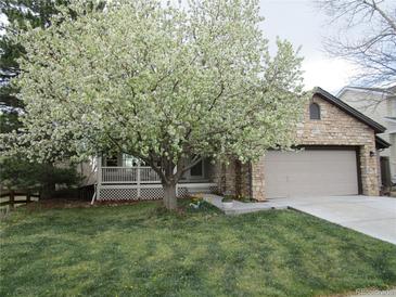 Charming stone home with a flowering tree, two car garage, and manicured lawn at 10522 Stoneflower Dr, Parker, CO 80134