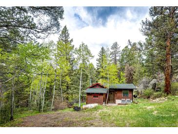 Charming rustic cabin nestled among lush trees offers a tranquil retreat in a wooded setting at 12346 Bear Haven Rd, Conifer, CO 80433